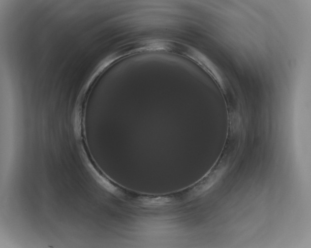 X0000111440851200907201127