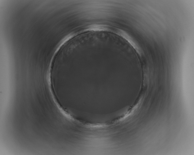 X0000111440853200907201127