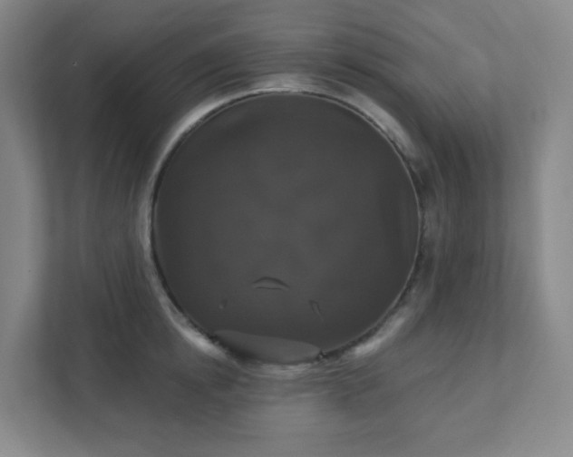 X0000111440854200907201127