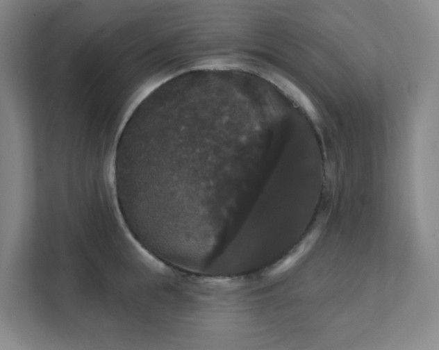 X0000111440855200907201127