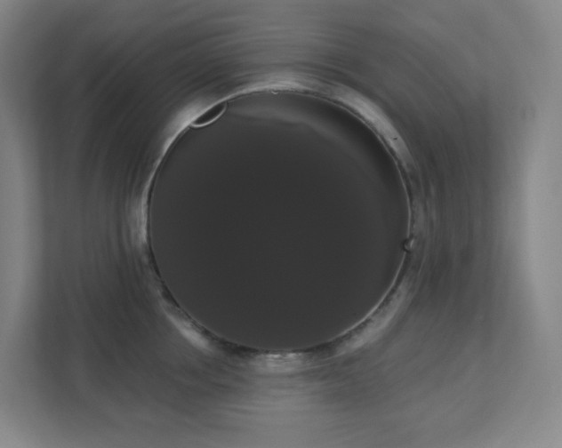 X0000111440858200907201127