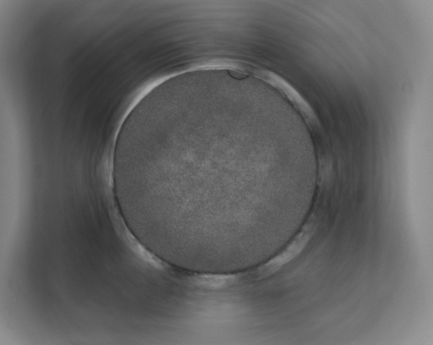 X0000111440860200907201127