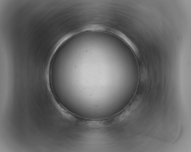 X0000111440861200907201127