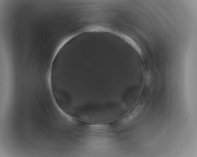 X0000111440863200907201127