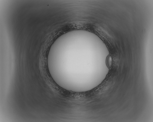 X0000111440865200907201127