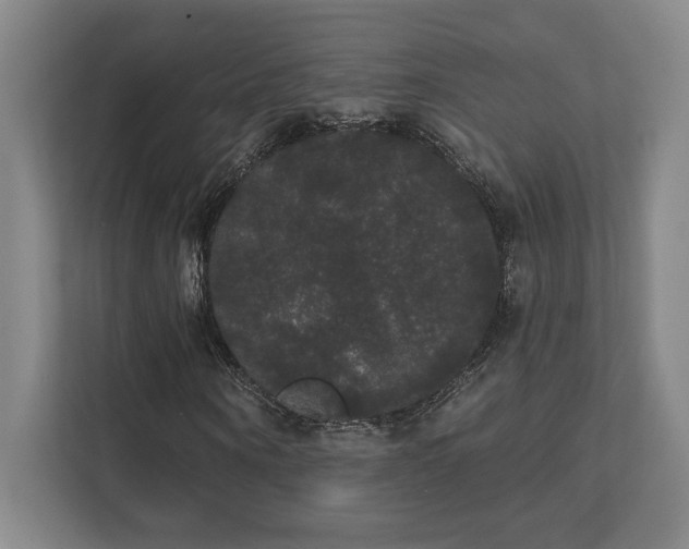 X0000111440866200907201127