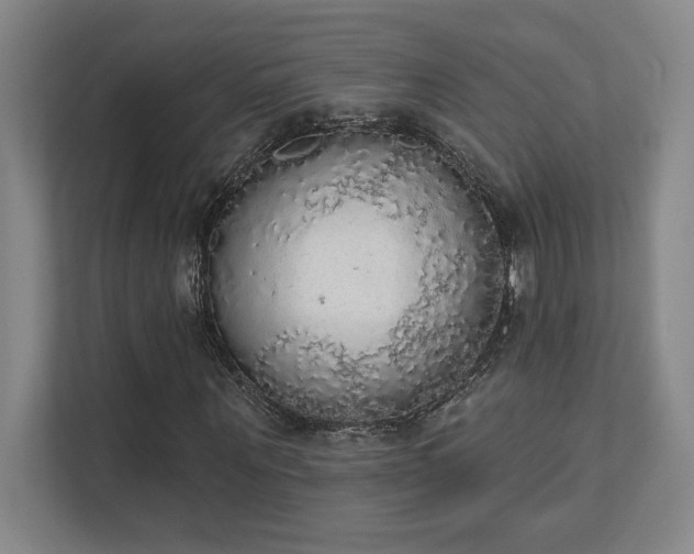 X0000111440867200907201127