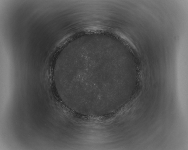 X0000111440870200907201127