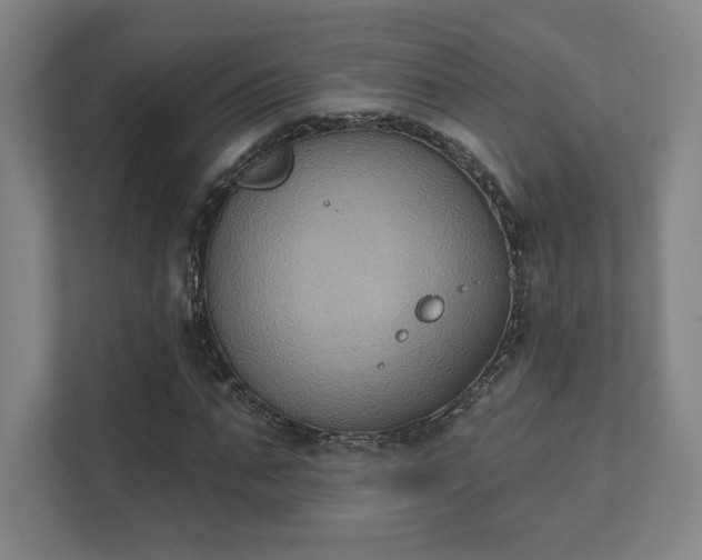 X0000111440871200907201127