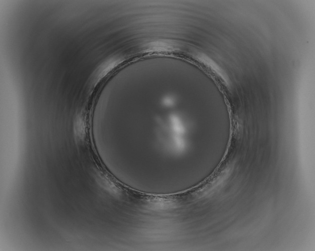 X0000111440874200907201127