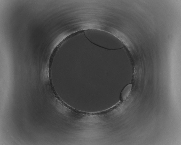 X0000111440877200907201127