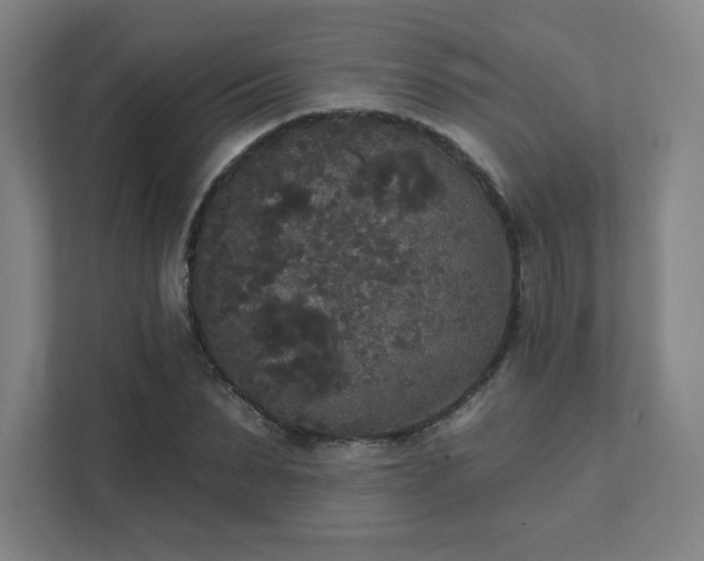 X0000111440879200907201126