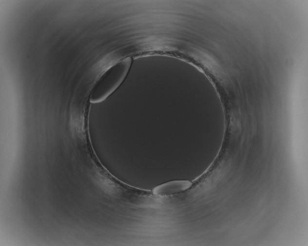 X0000111440881200907201126