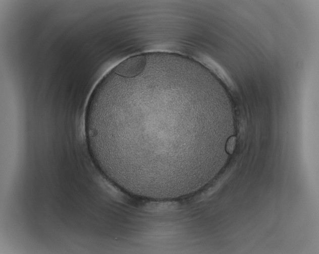 X0000111440884200907201126