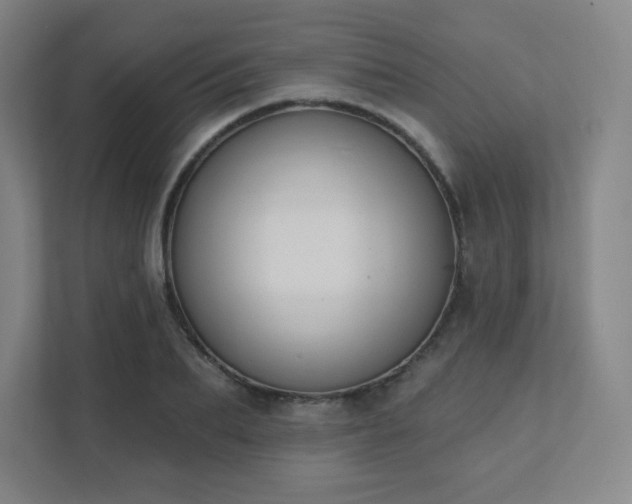 X0000111440887200907201126