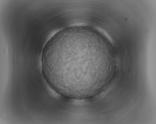 X0000111440890200907201126