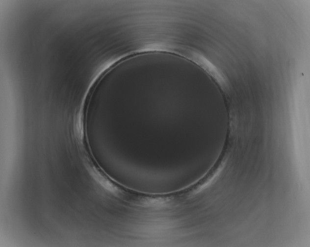 X0000111440892200907201126