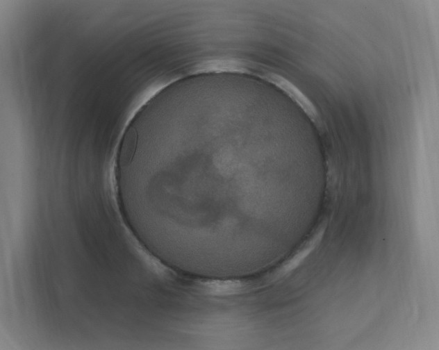 X0000111440893200907201126