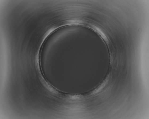 X0000111440899200907201126