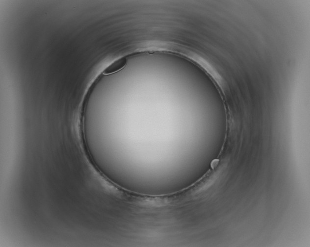 X0000111440901200907201126