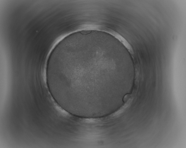 X0000111440904200907201126