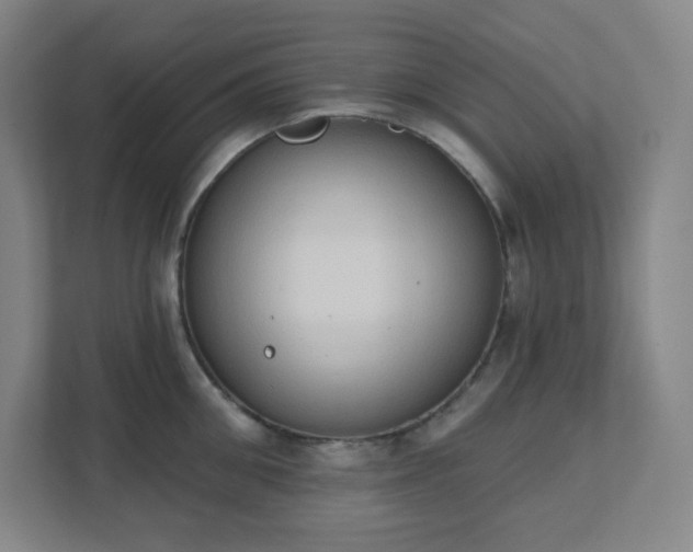 X0000111440906200907201126