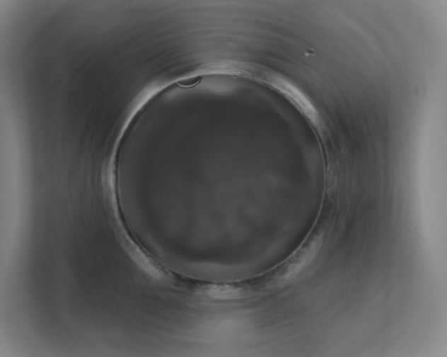 X0000111440907200907201126