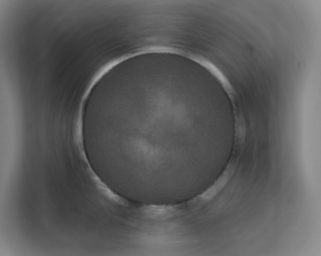 X0000111440910200907201126