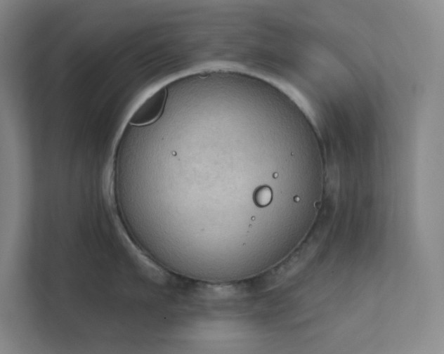 X0000111440911200907201126