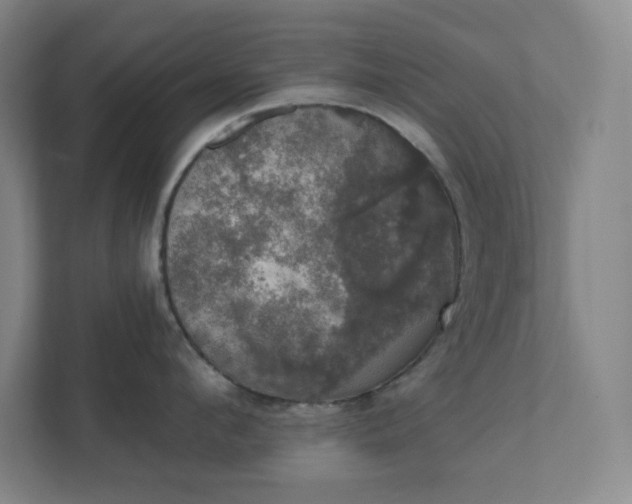X0000111440912200907201126