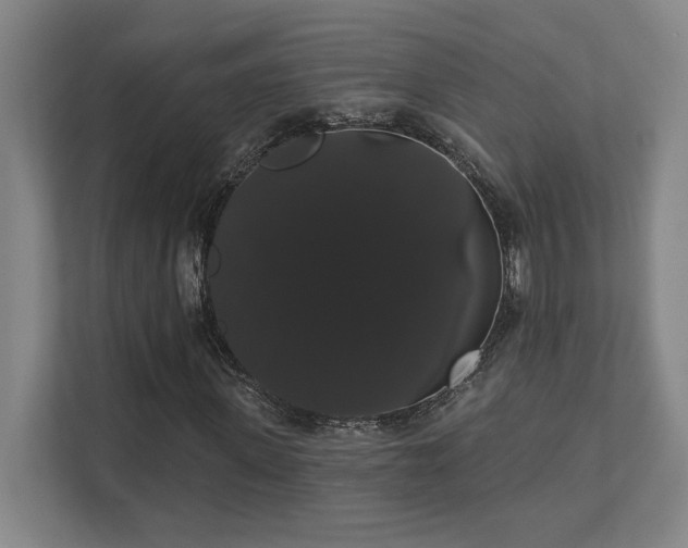 X0000111440915200907201125