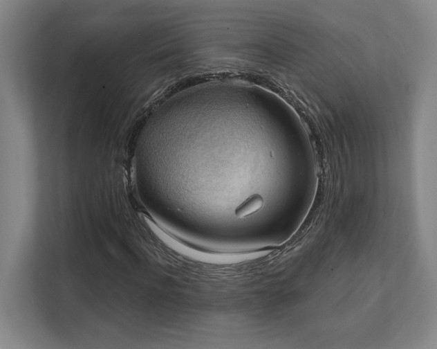 X0000111440916200907201125