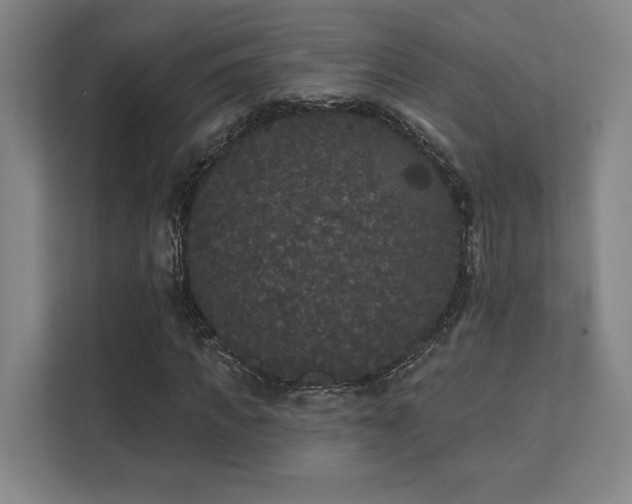 X0000111440917200907201125