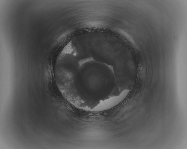 X0000111440918200907201125