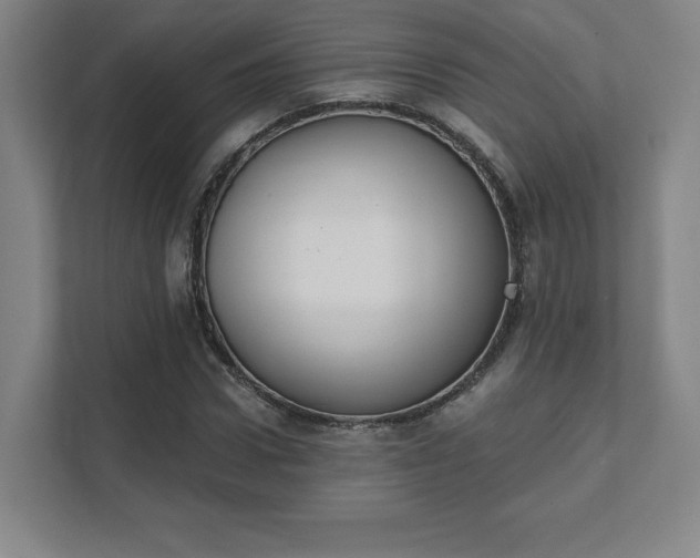 X0000111440922200907201125