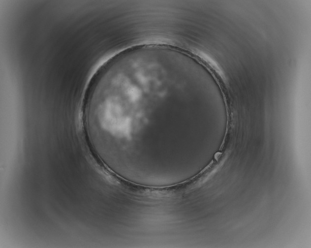 X0000111440928200907201125