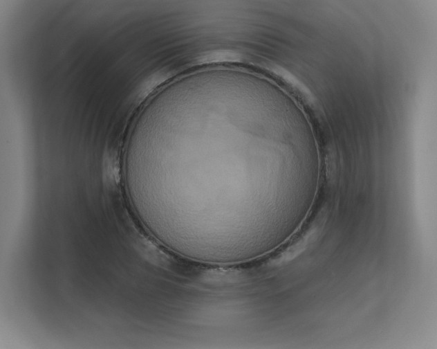 X0000111440929200907201125
