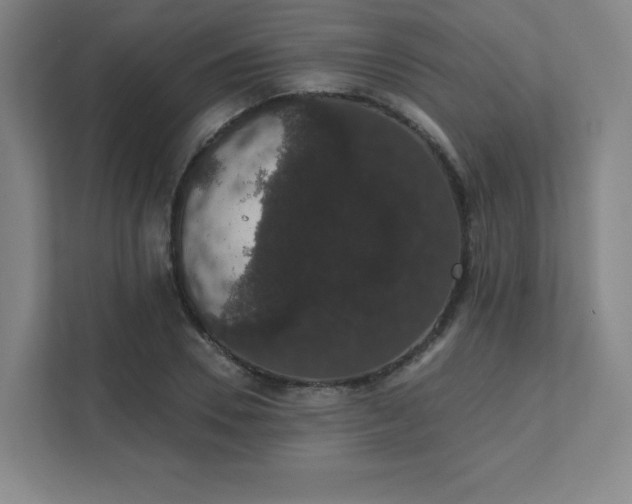 X0000111440930200907201125