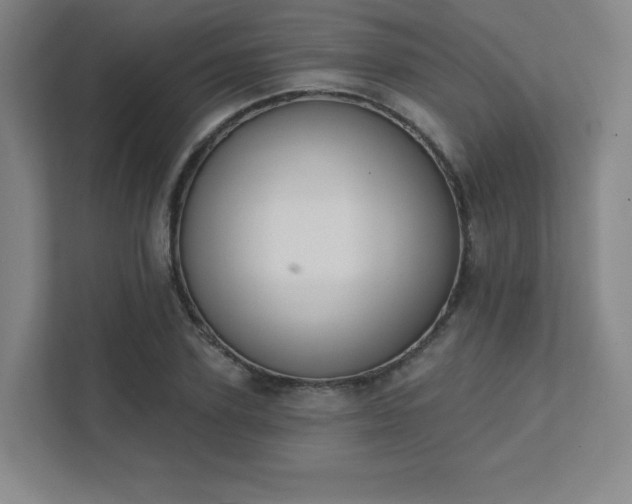 X0000111440931200907201125