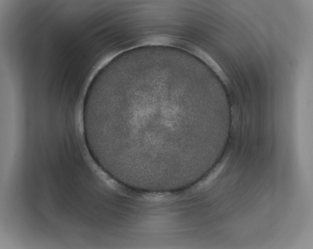X0000111440939200907201126