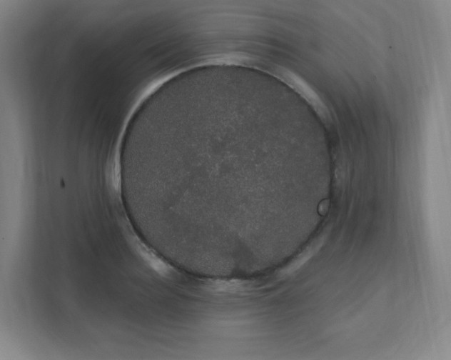 X0000111440940200907201126