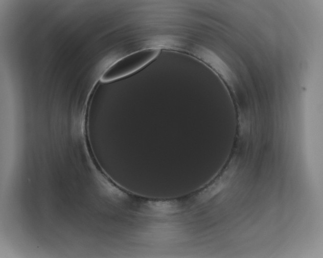 X0000111440946200907201126