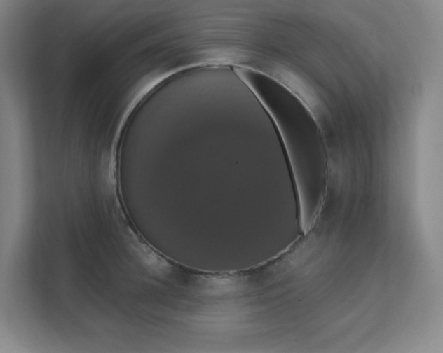 X0000111440948200907201126