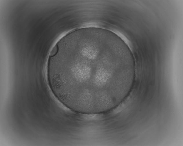 X0000111440949200907201126