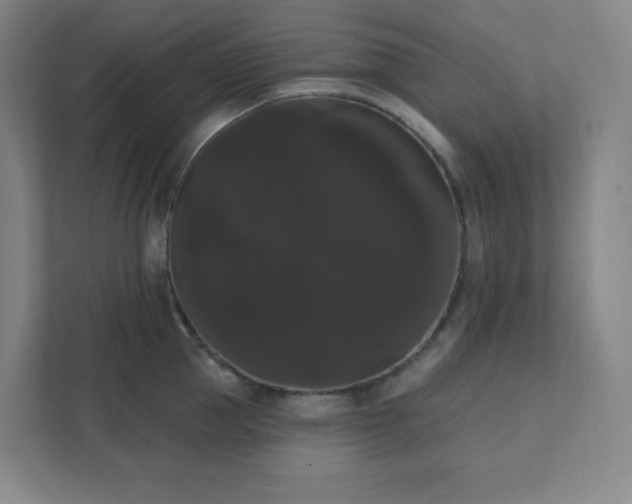 X0000111440953200907201126