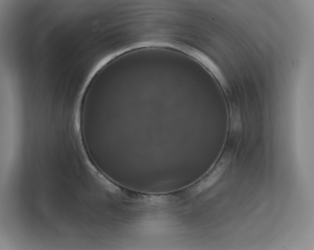 X0000111440958200907201126