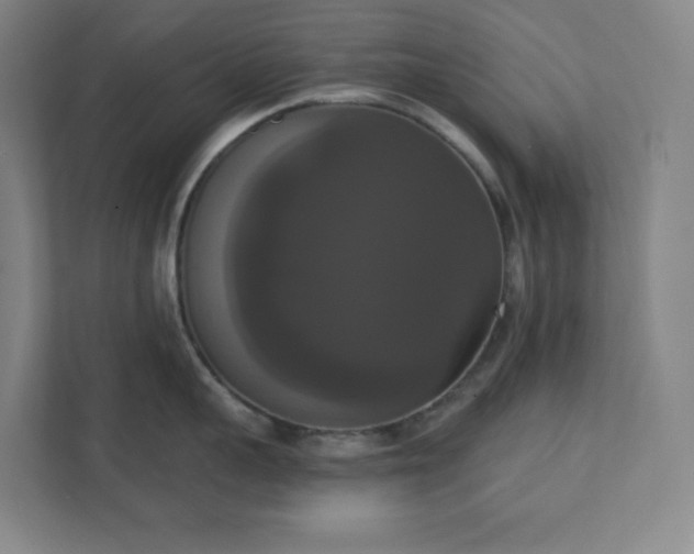 X0000111440959200907201126