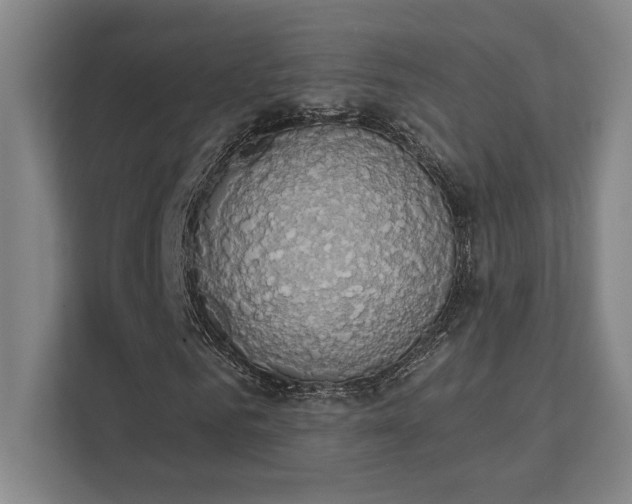 X0000111440961200907201125
