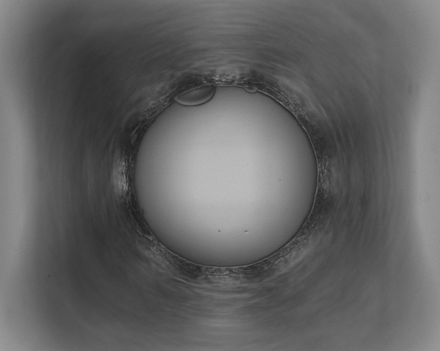 X0000111440962200907201125