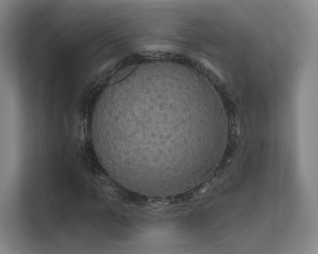 X0000111440965200907201125